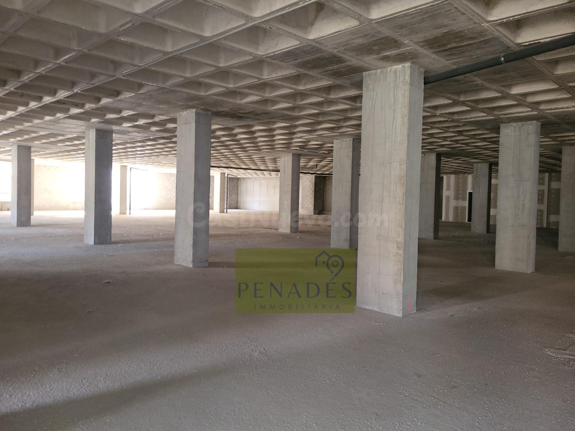 LOCAL COMERCIAL CON MAS DE NOVENTA PLAZAS DE APARCAMIENTO. - foto 4