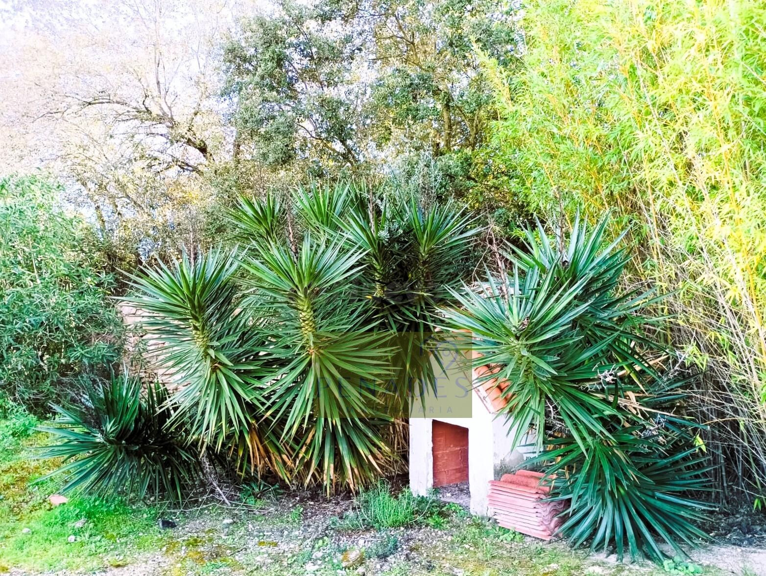 ZONA TRANQUILA DONDE VIVIR RODEADO DE NATURALEZA - foto 4