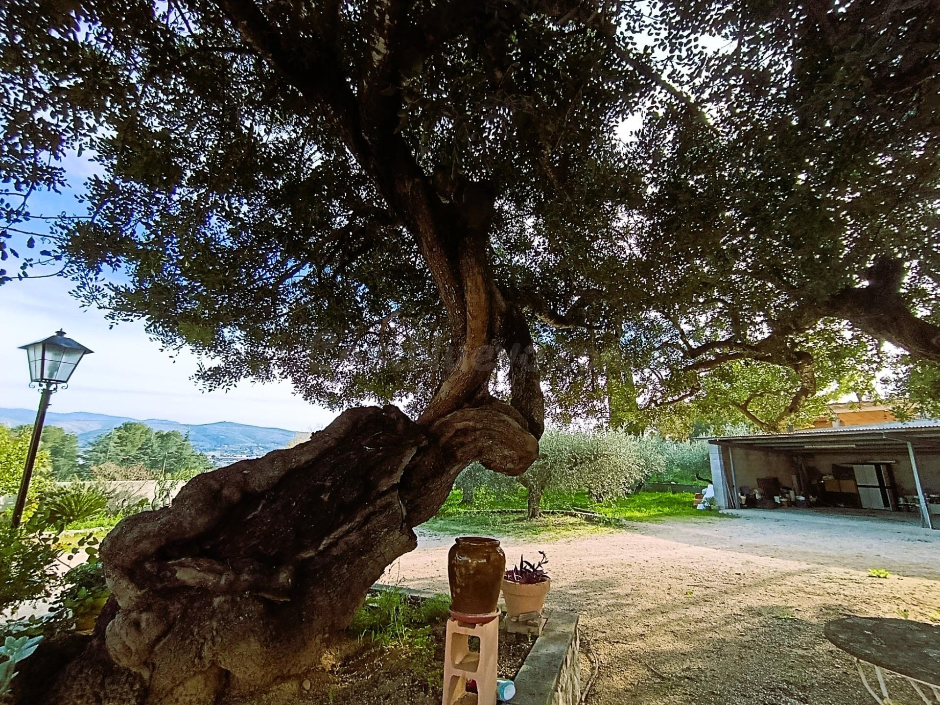 CHALET CERCANO A LA POBLACIÓN - foto 4