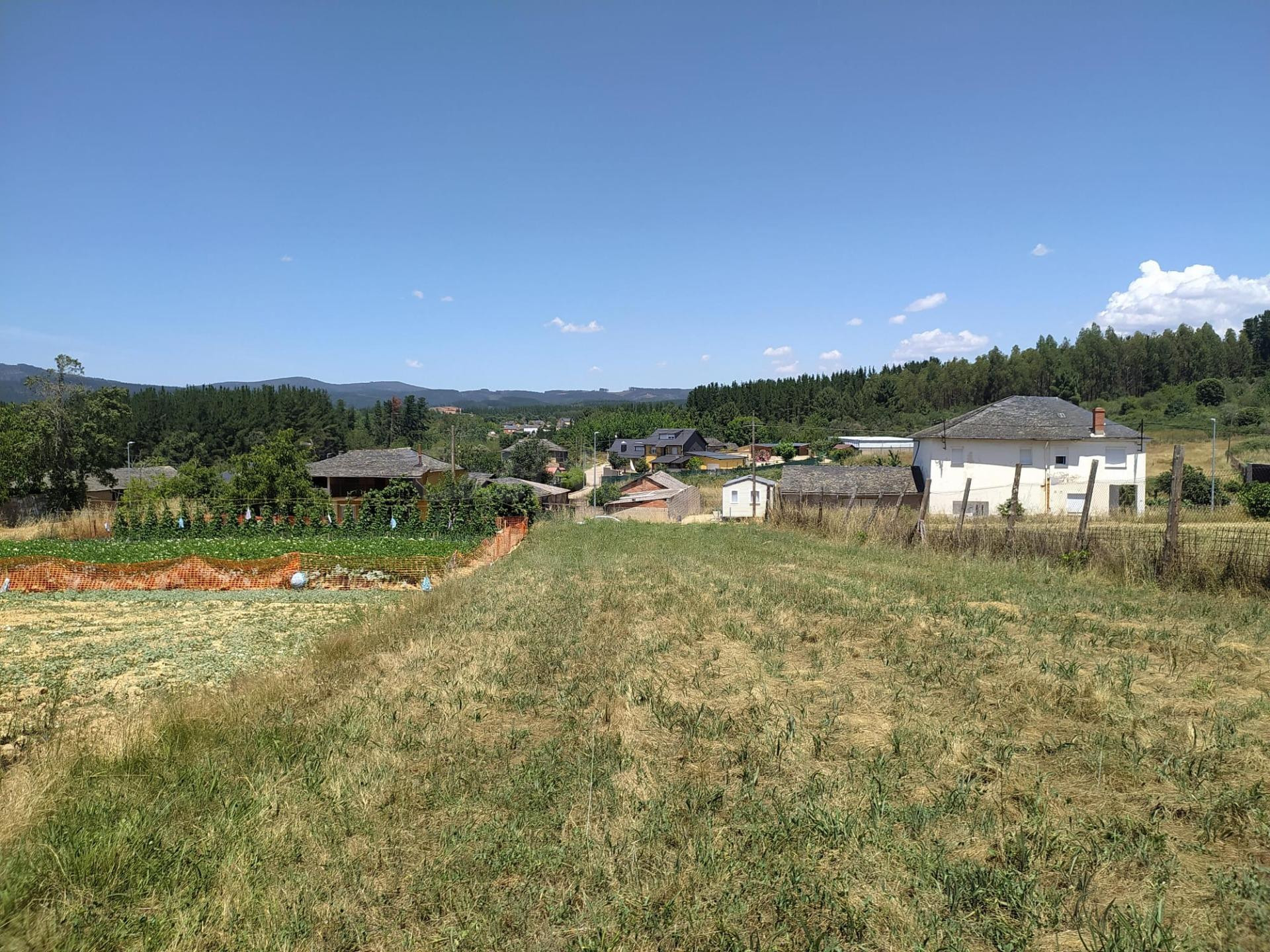 VENTA DE FINCA URBANA EN CABAÑAS RARAS - foto 2