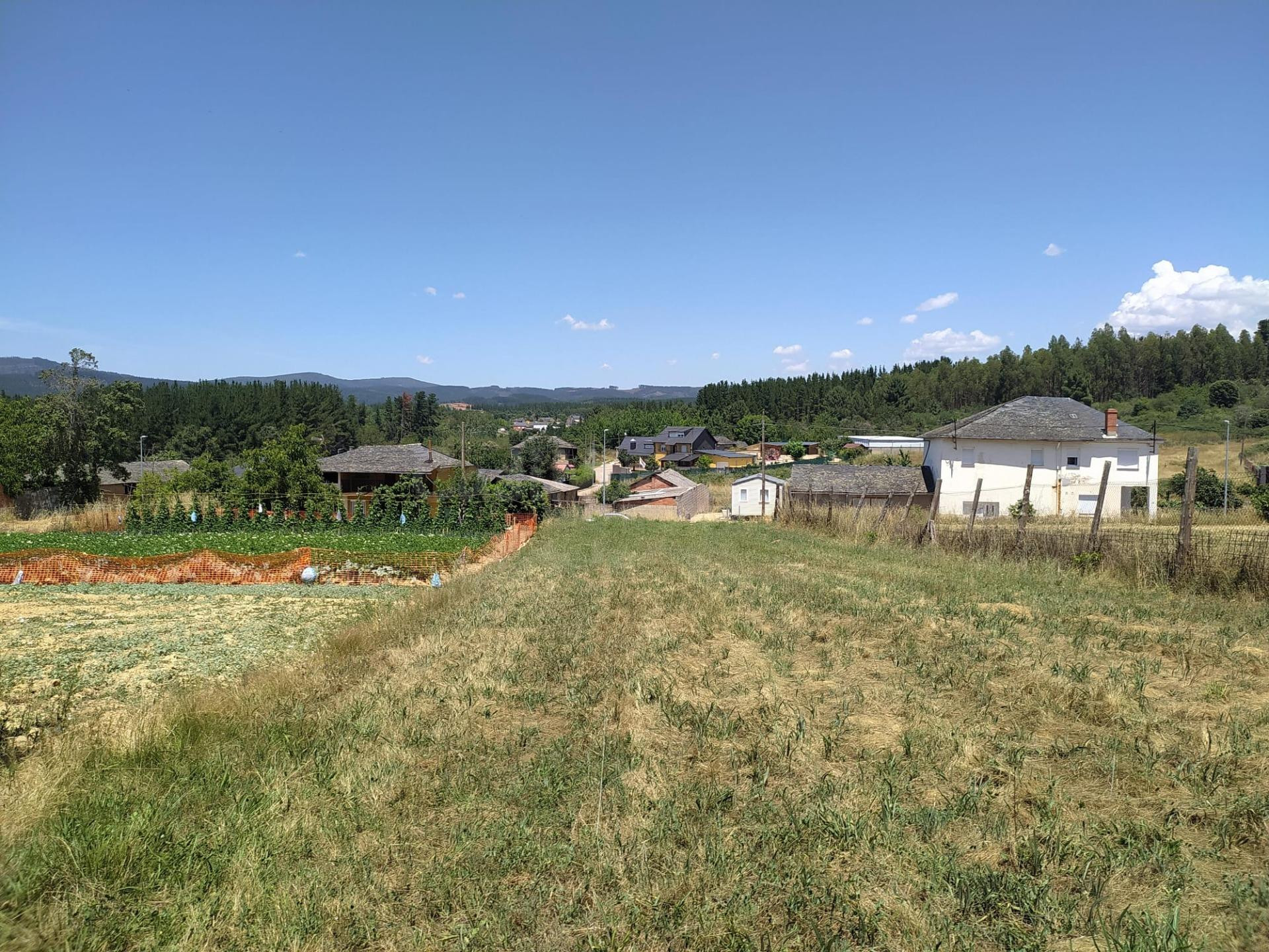 VENTA DE FINCA URBANA EN CABAÑAS RARAS - foto 3