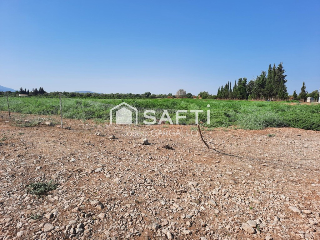 Finca rústica con pozo propio en Santa Bàrbara - foto 5