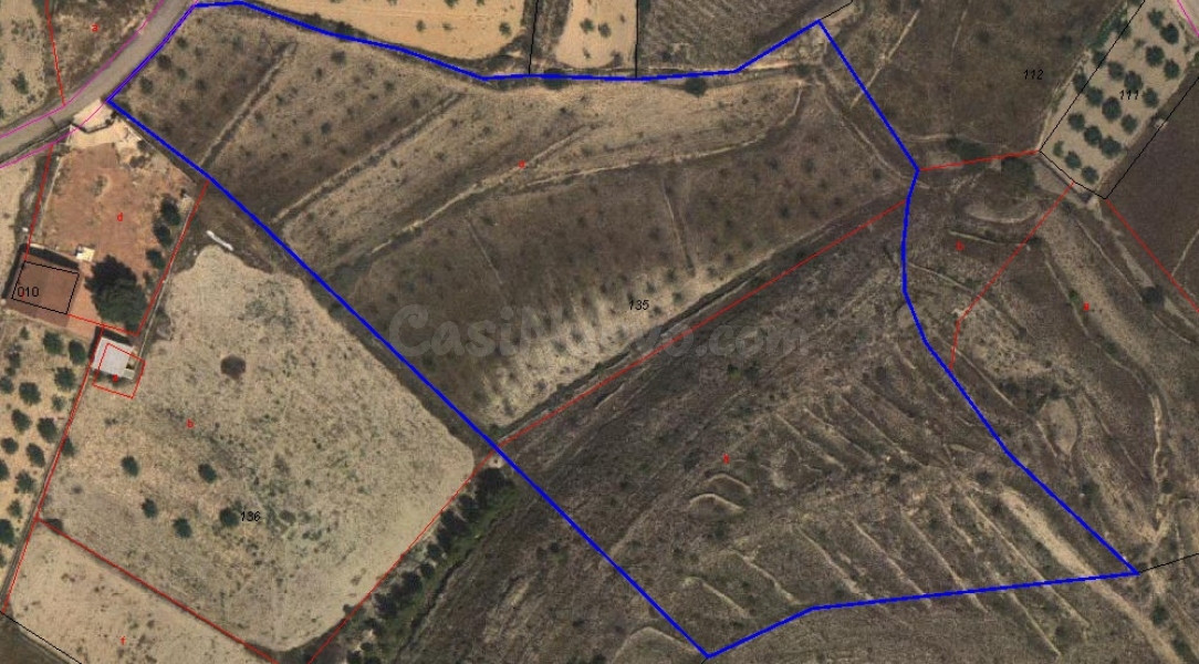 Terreno rural en venta - MONOVAR RURAL