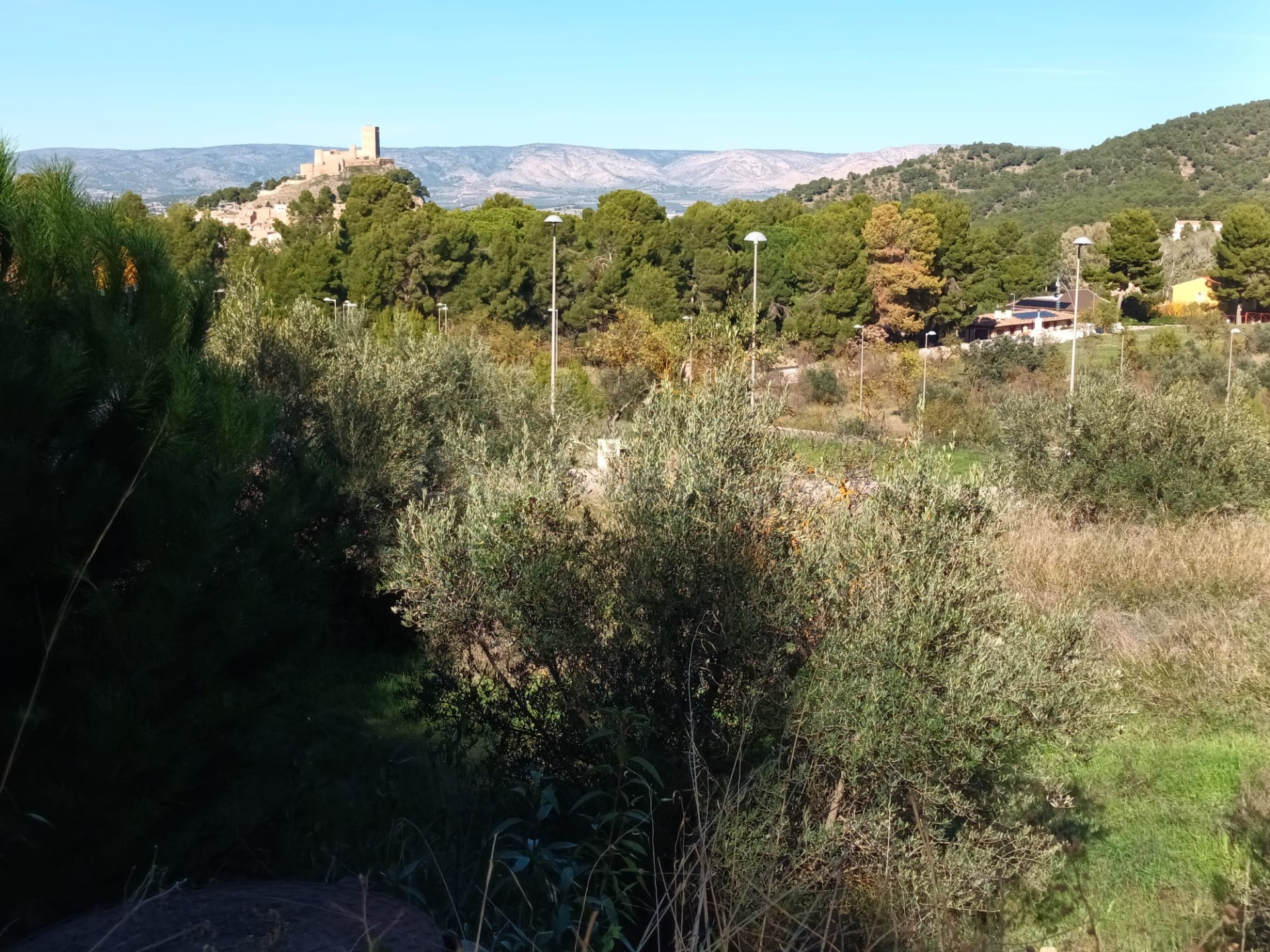 Parcela urbana en Biar - foto 3