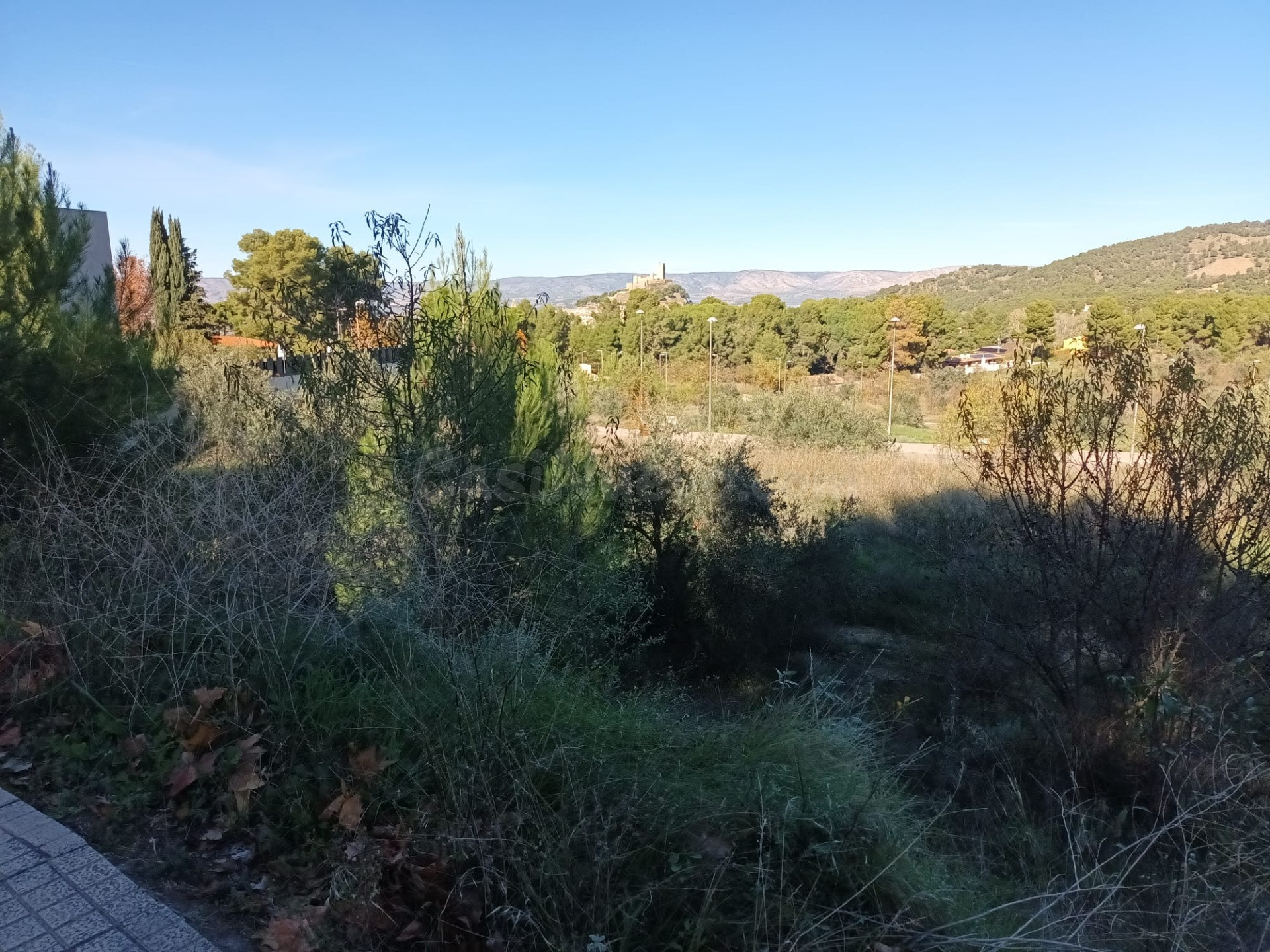 Parcela urbana en Biar - foto 4