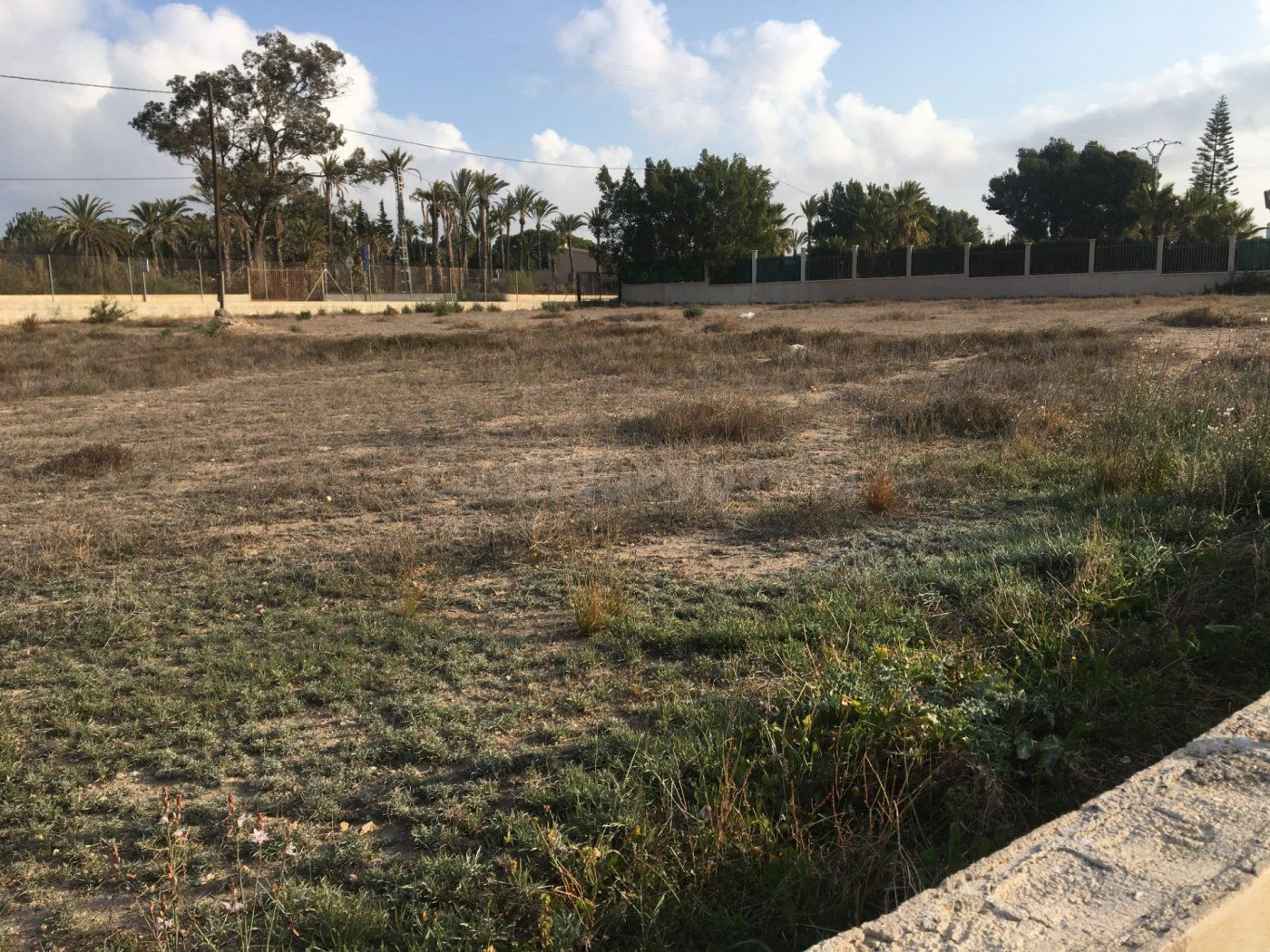 PARCELA URBANIZADA ZONA INDUSTIAL ELCHE
