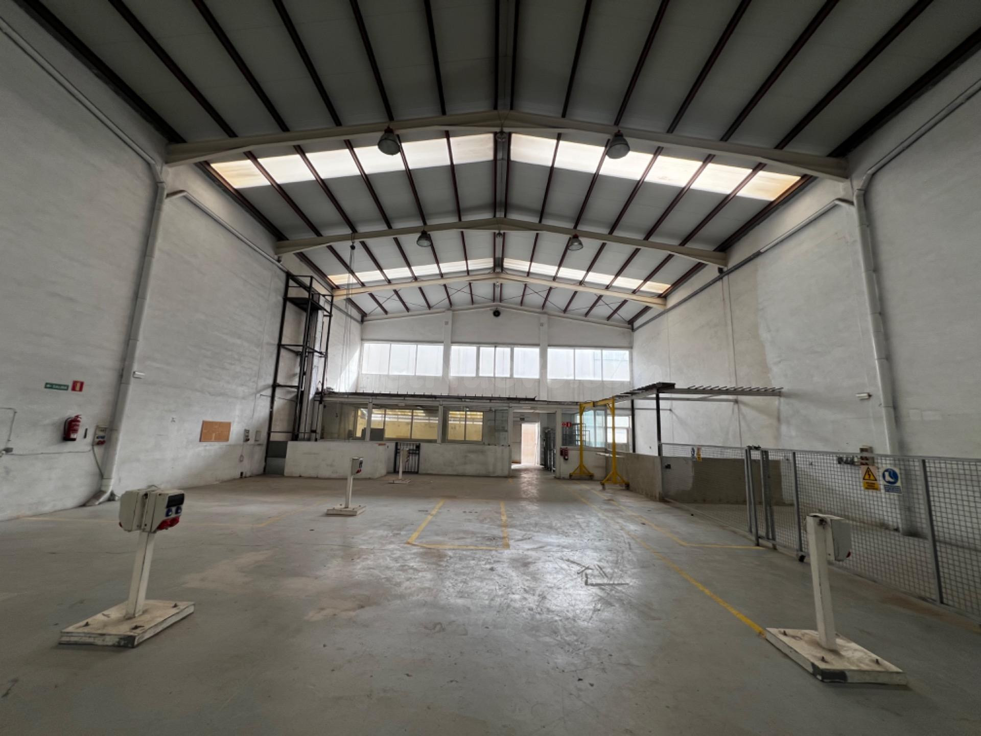 NAVE INDUSTRIAL EN ALQUILER EN ELCHE PARQUE INDUSTRIAL - foto 4