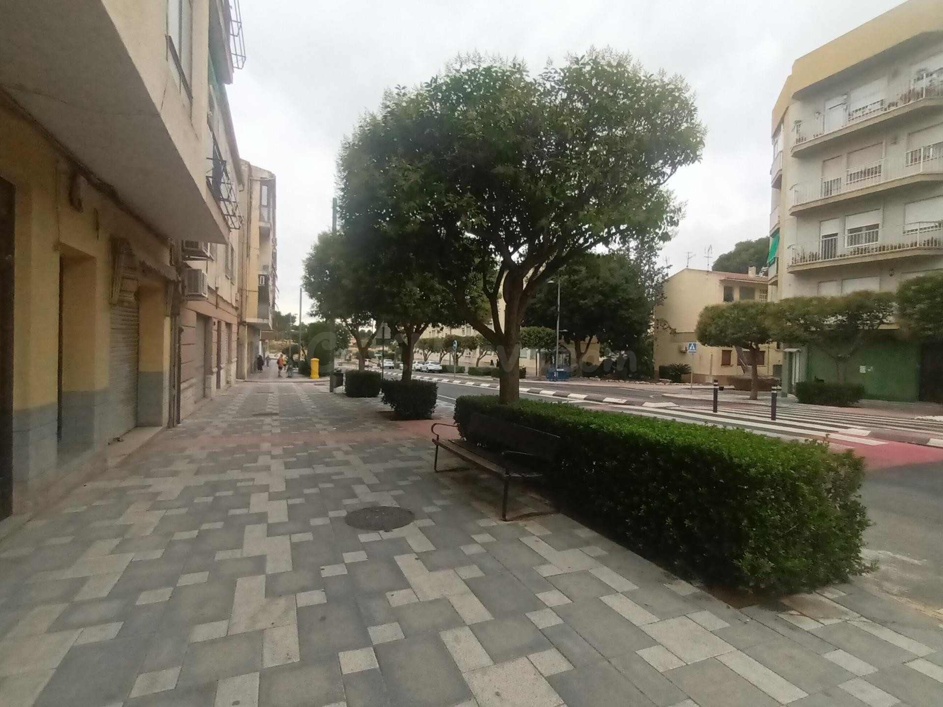 ¿Quiere abrir un negocio en la avenida principal de Biar? Es - foto 3