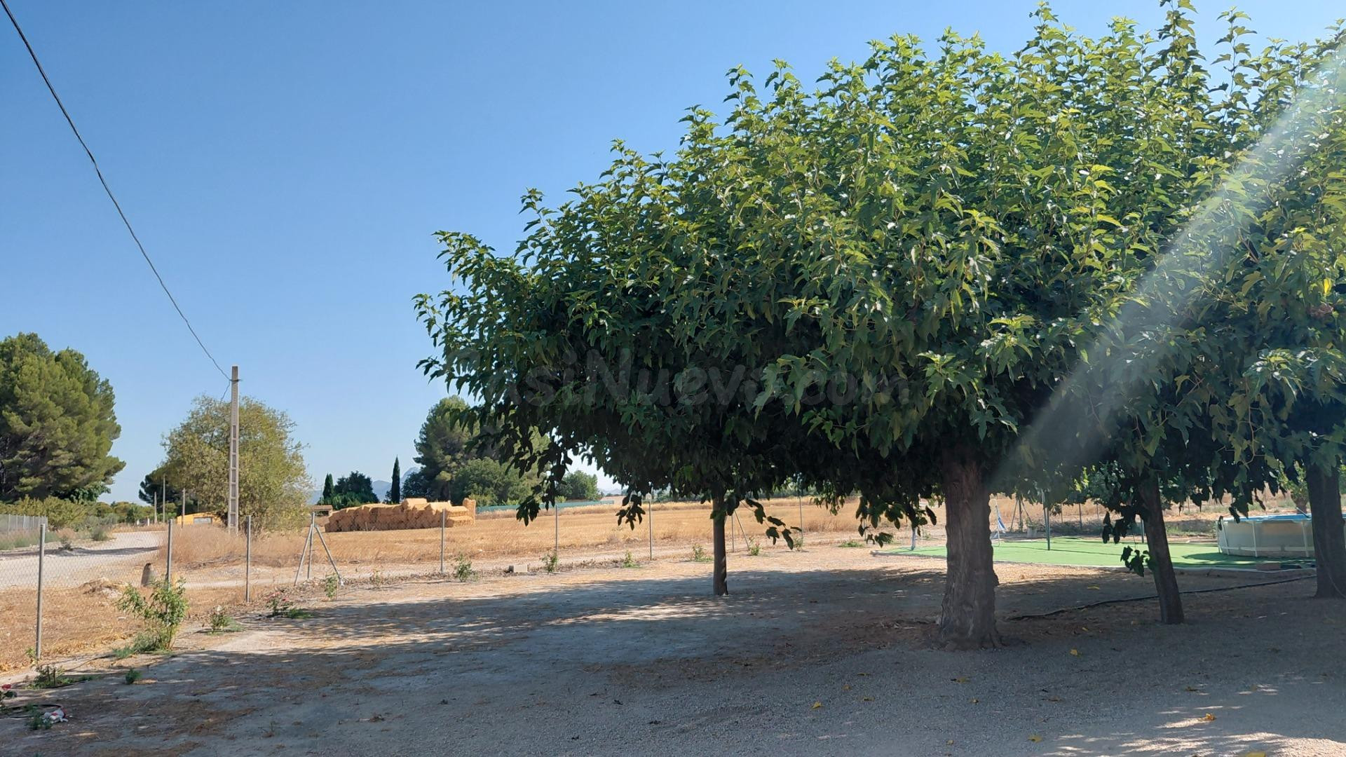 Casa de campo reformada a pocos minutos de Villena
