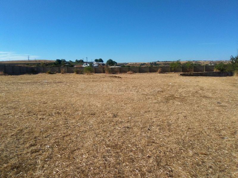 VENTA DE FINCA/SOLAR EN ZAMORA ZONA SAN FRONTIS CON construc - foto 3