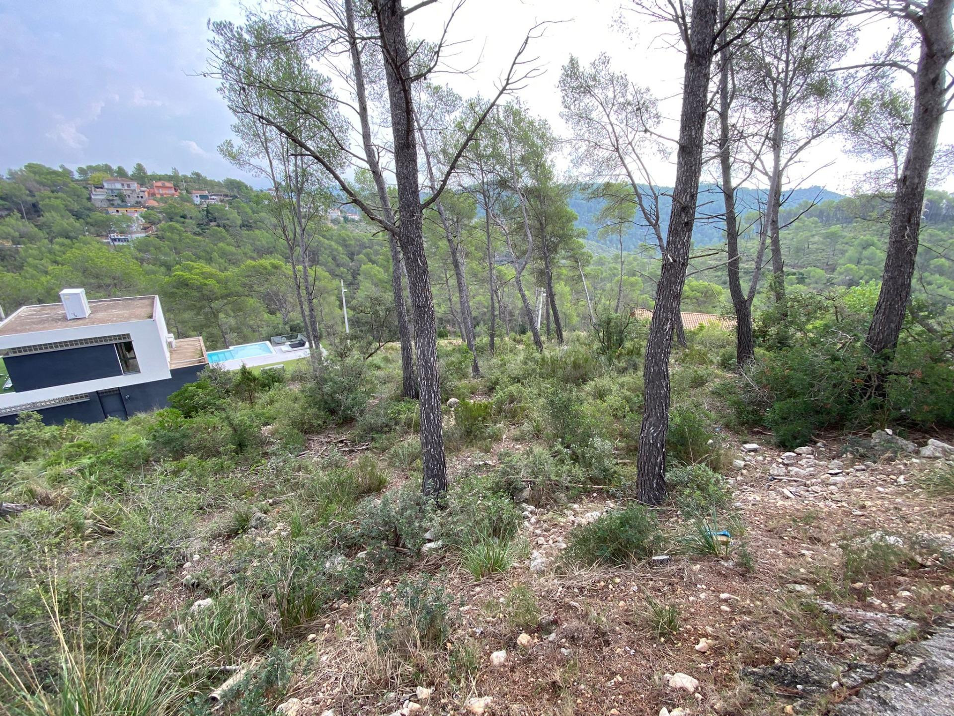 En venta 5 parcelas juntas