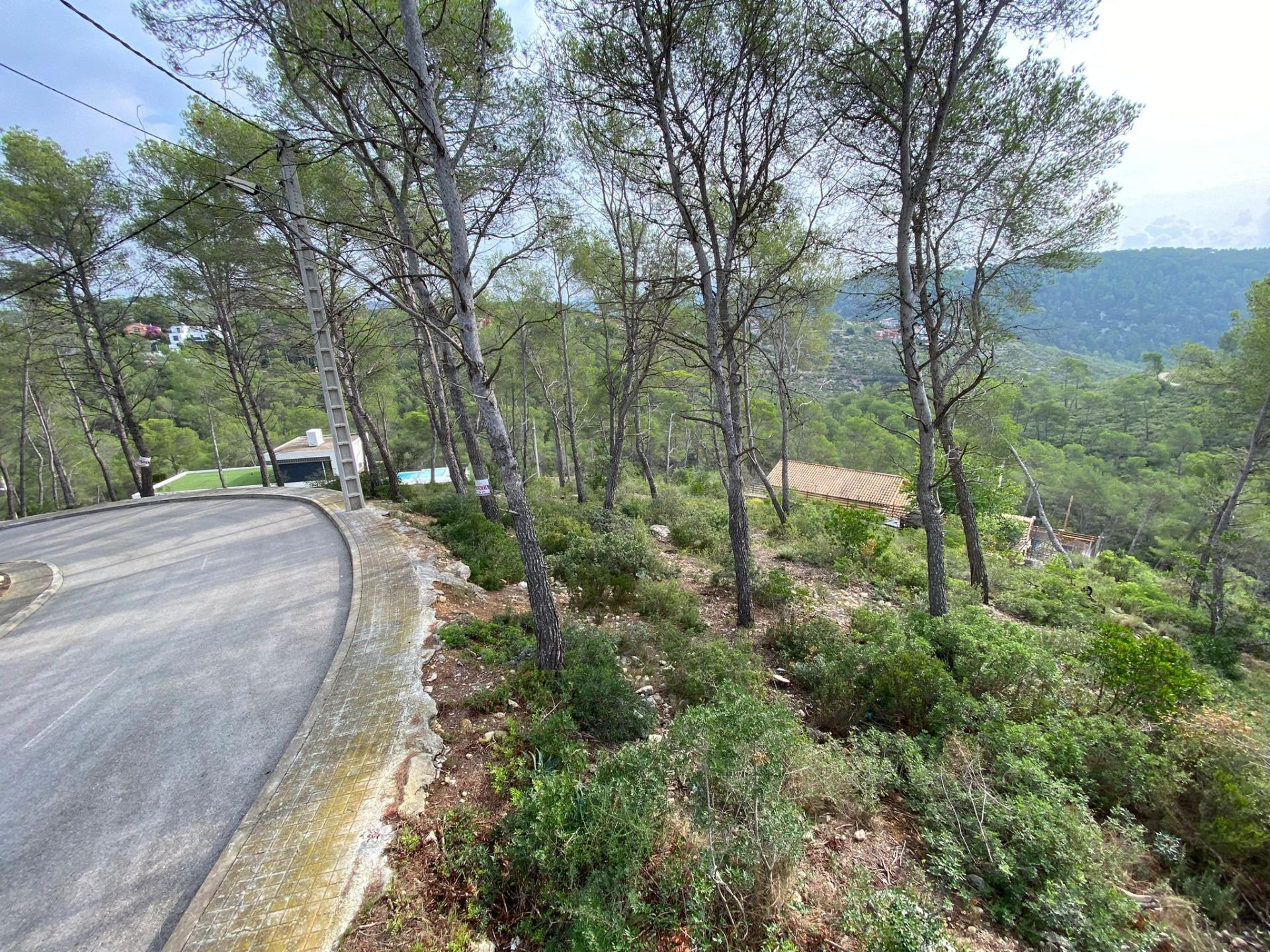 En venta 5 parcelas juntas - foto 4