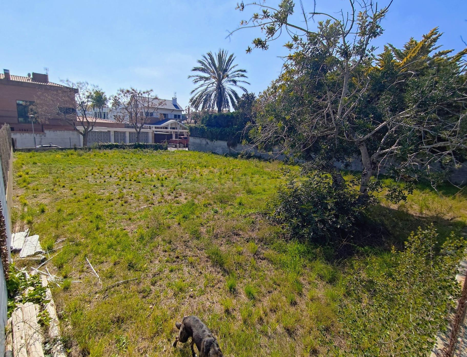 EXCLUSIVA PARCELA URBANA EN LA MEJOR ZONA DE VILANOVA – ZONA - foto 5