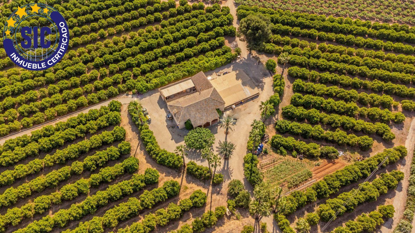 Villa rústica con campos de naranjas y caquis