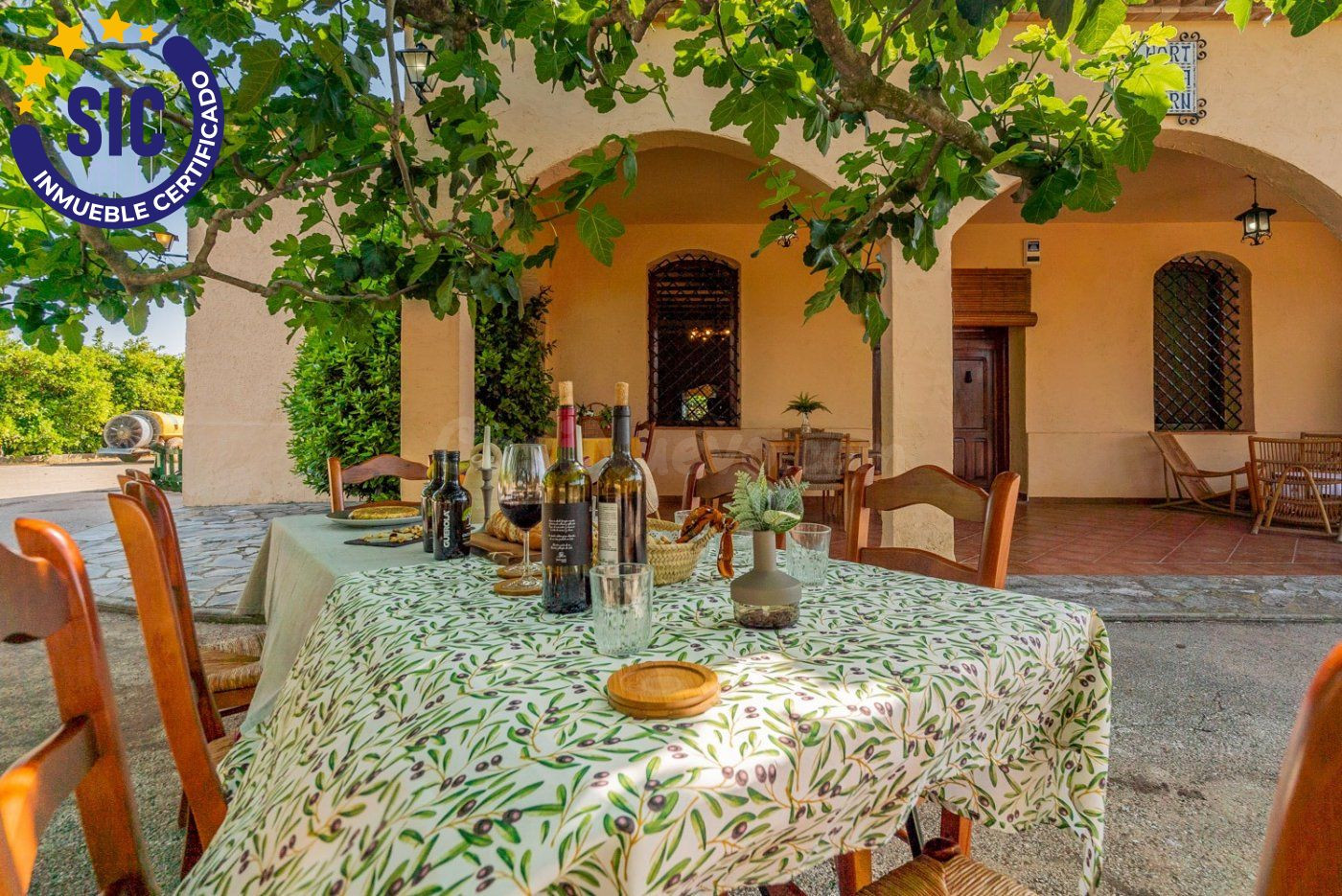 Villa rústica con campos de naranjas y caquis - foto 2