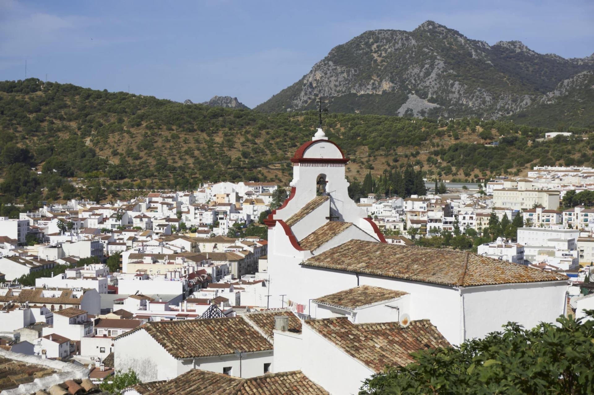 ZONA LA TORRE