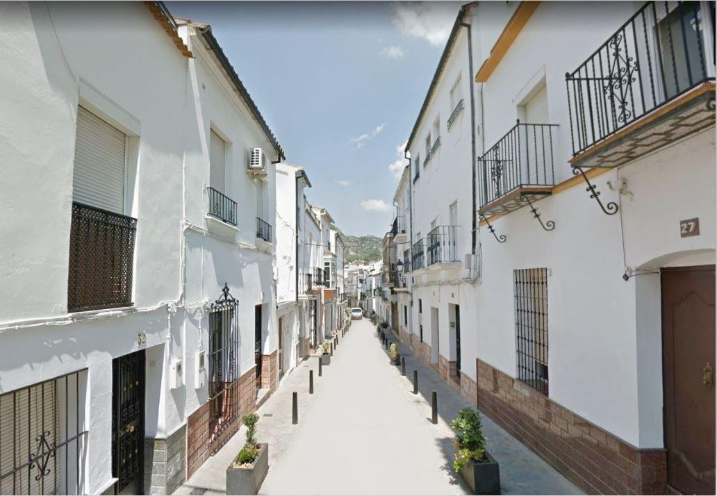 ZONA CALLE BOTICA.