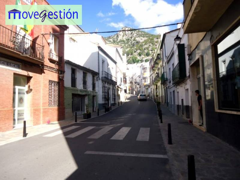 LOCAL COMERCIAL - VIVIENDA PLANTA BAJA. ZONA CALLEJONES