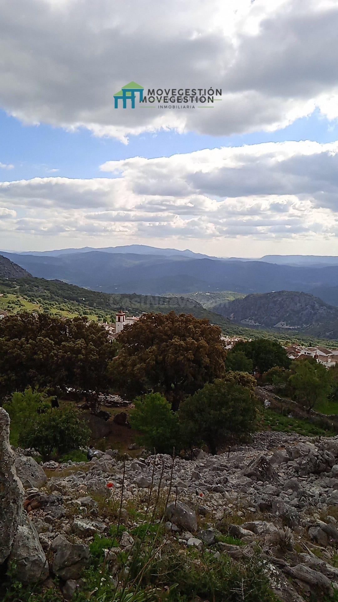 TERRENO RÚSTICO EN BENAOCAZ - foto 4