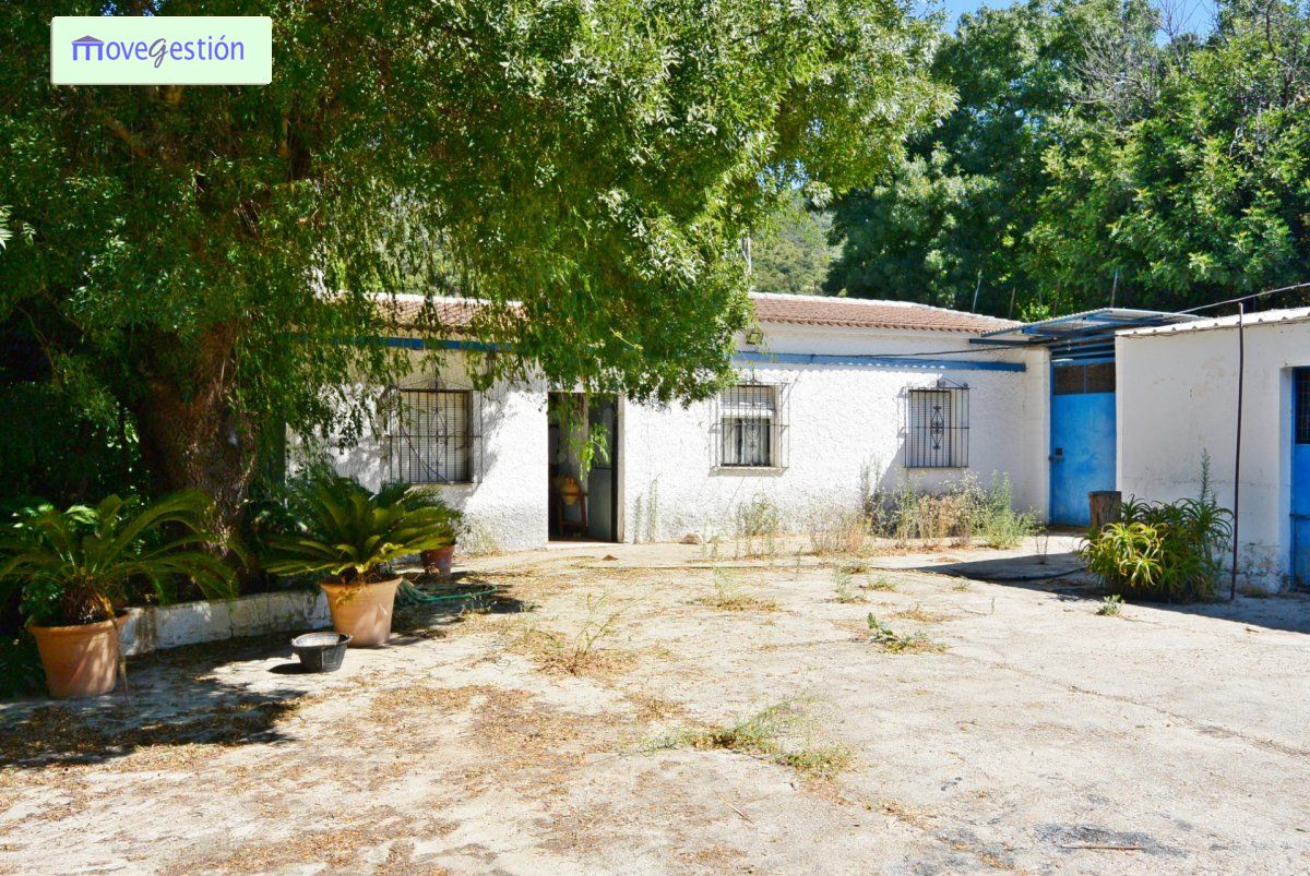 VENTA DE CAMPO EN TAVIZNA - foto 3