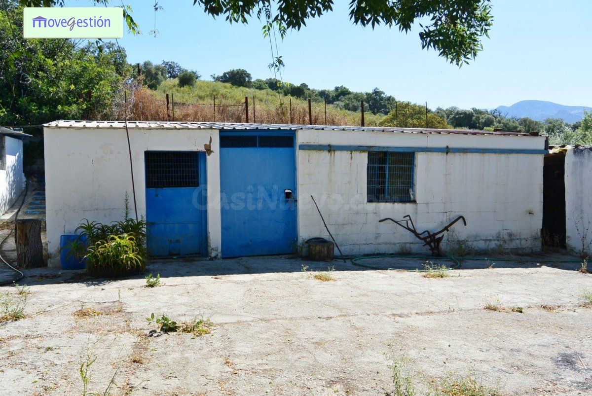 VENTA DE CAMPO EN TAVIZNA - foto 4
