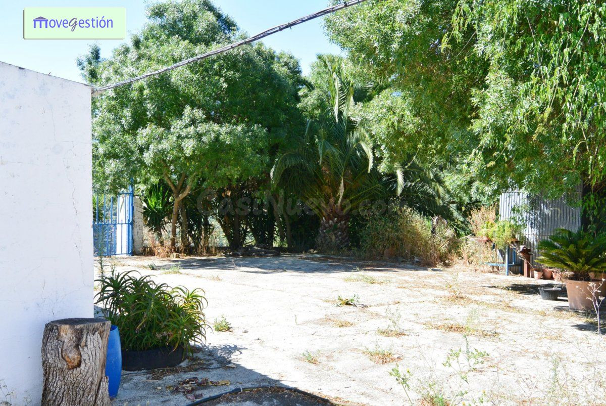 VENTA DE CAMPO EN TAVIZNA - foto 5
