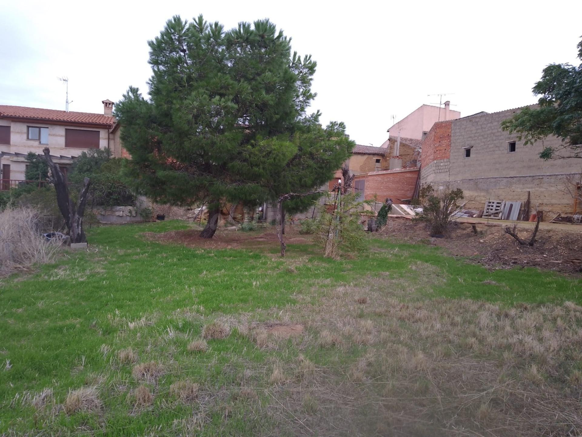 VENTA DE CASA CON TERRENO EN TORO (ZAMORA) - foto 3