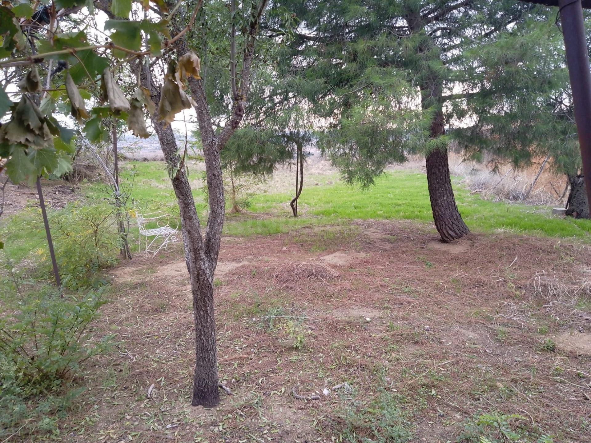 VENTA DE CASA CON TERRENO EN TORO (ZAMORA) - foto 4