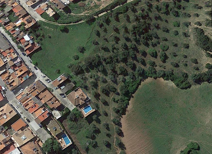 TERRENO URBANIZABLE EN PRADO DEL REY (CÁDIZ) - foto 4