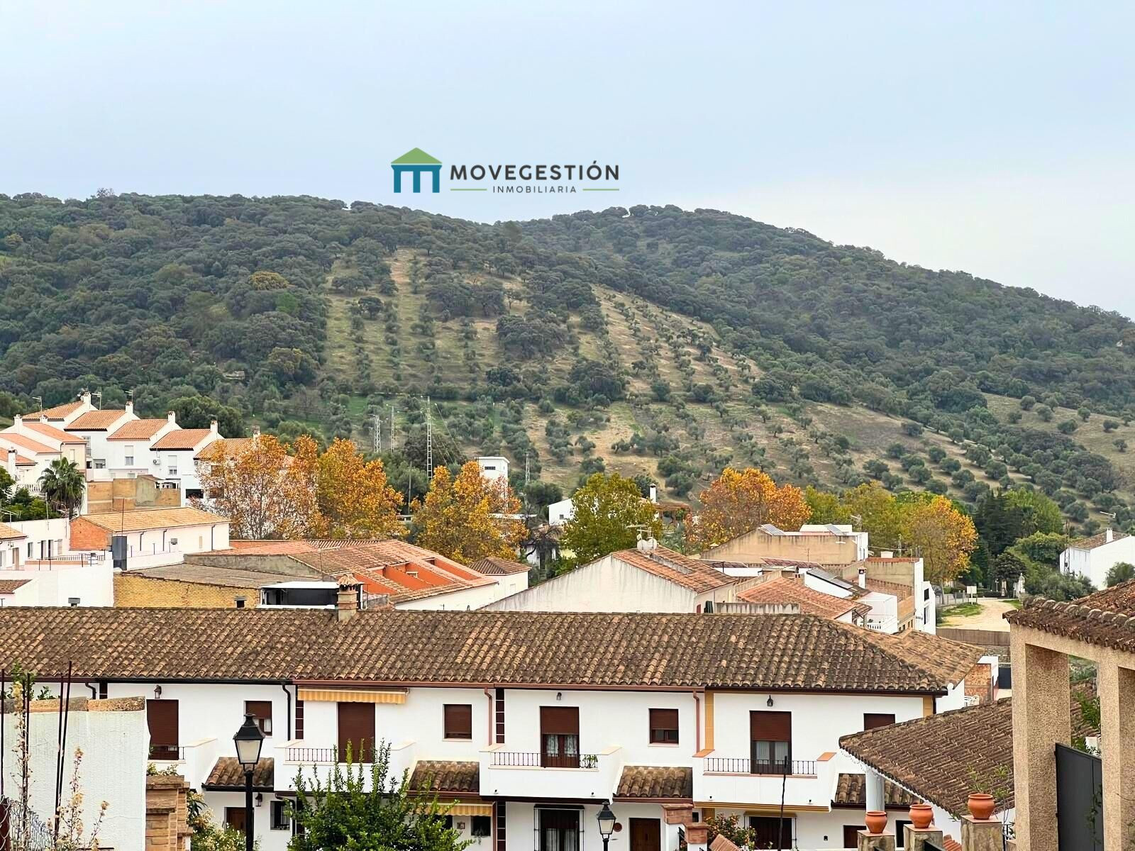 Parcela en venta - Andalucia - foto 3