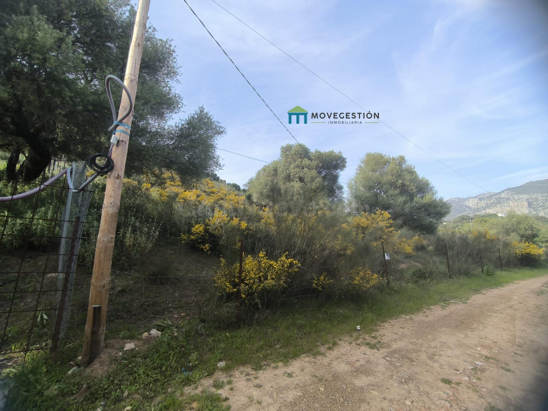 Terreno rural en venta - EL AMARGUILLO