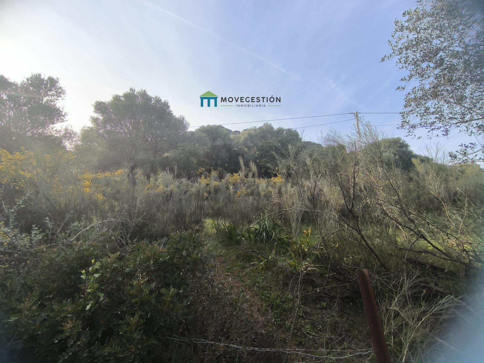 Terreno rural en venta - EL AMARGUILLO - foto 2