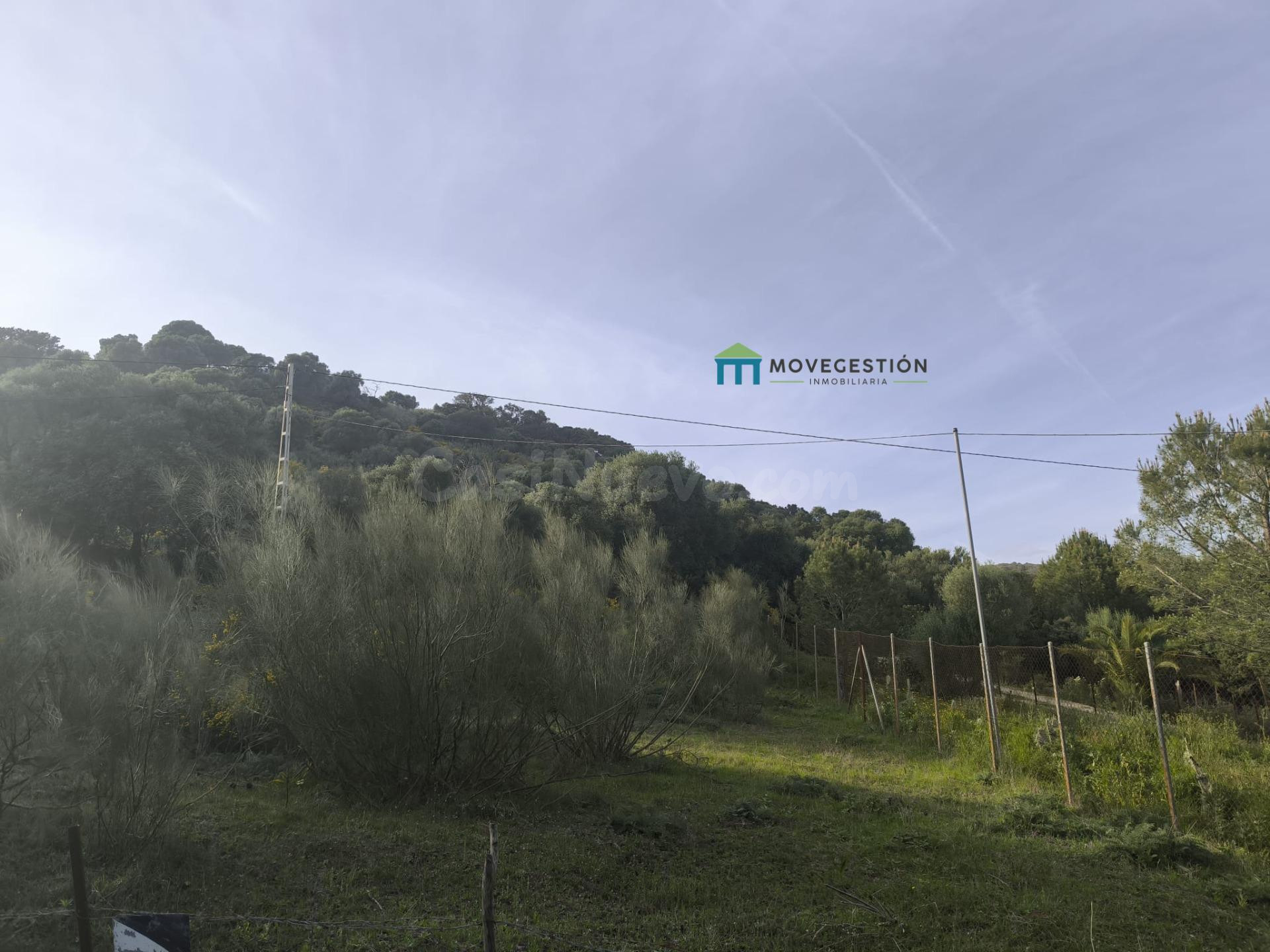 Terreno rural en venta - EL AMARGUILLO - foto 3