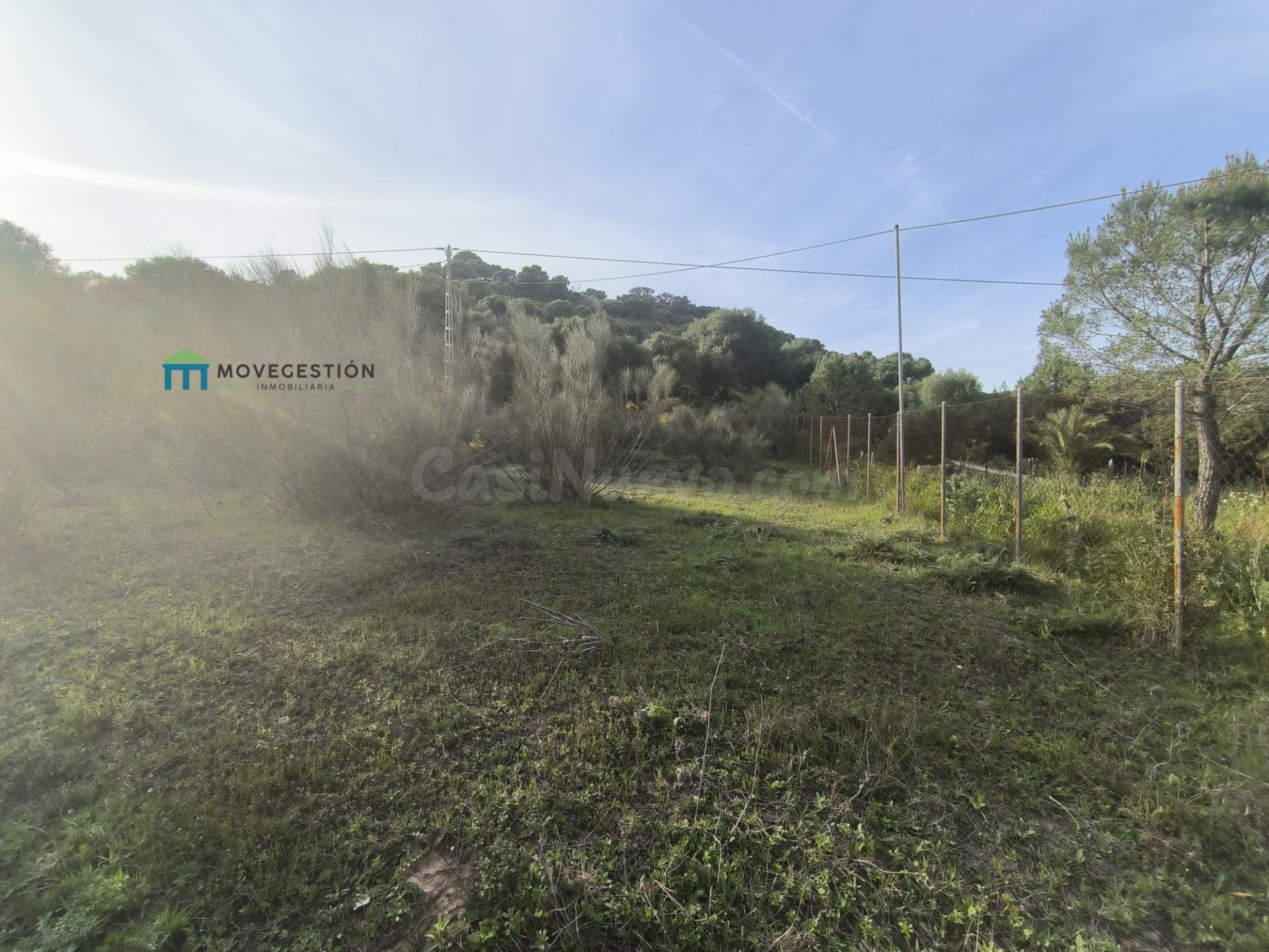 Terreno rural en venta - EL AMARGUILLO - foto 4