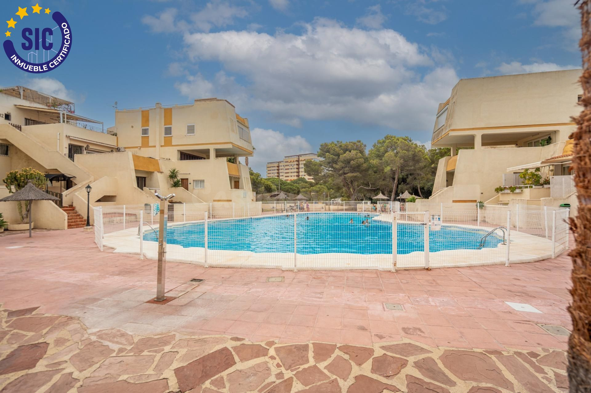 ¡Descubre tu oasis en El Saler, Valencia!