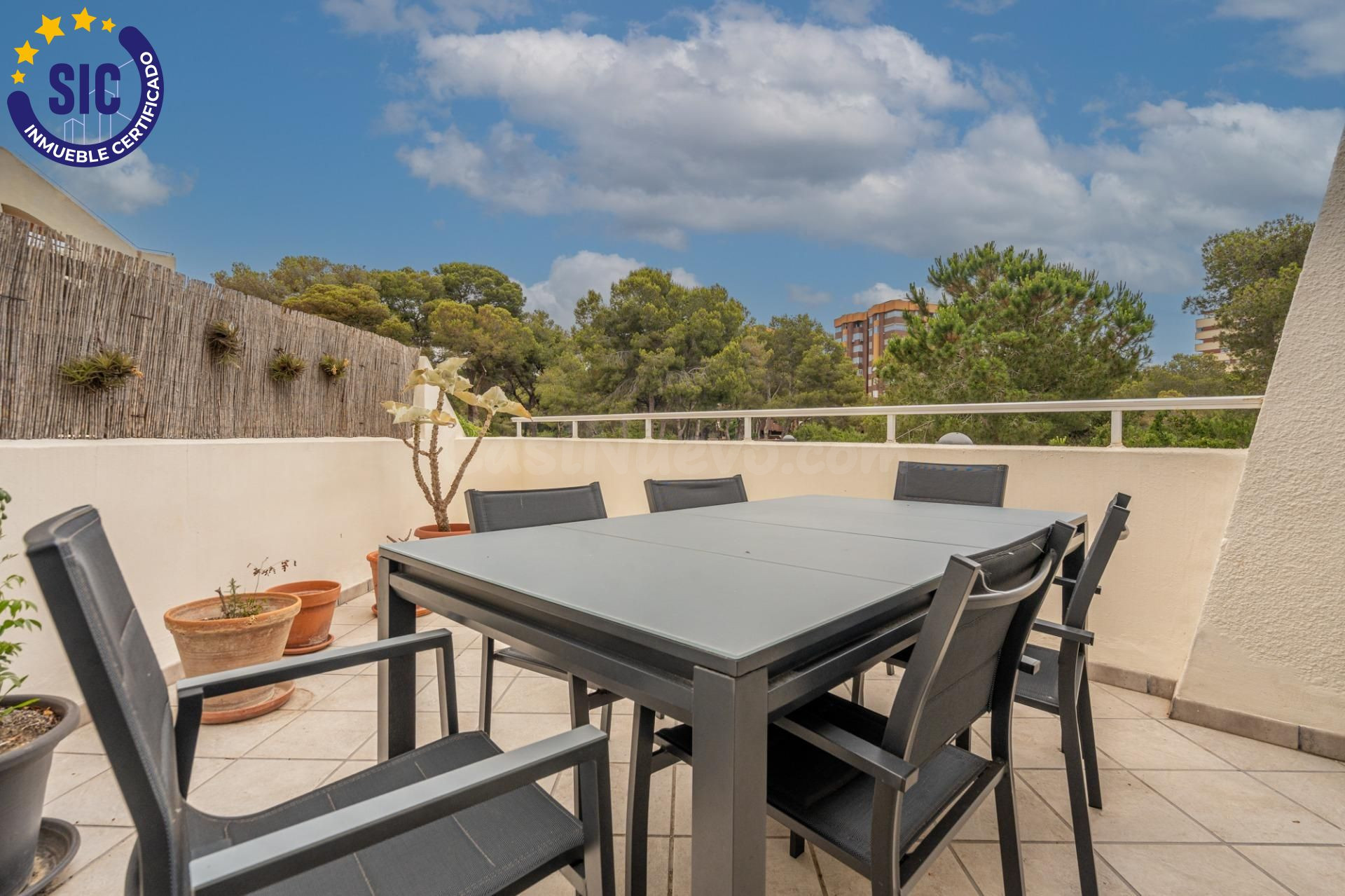 ¡Descubre tu oasis en El Saler, Valencia! - foto 2