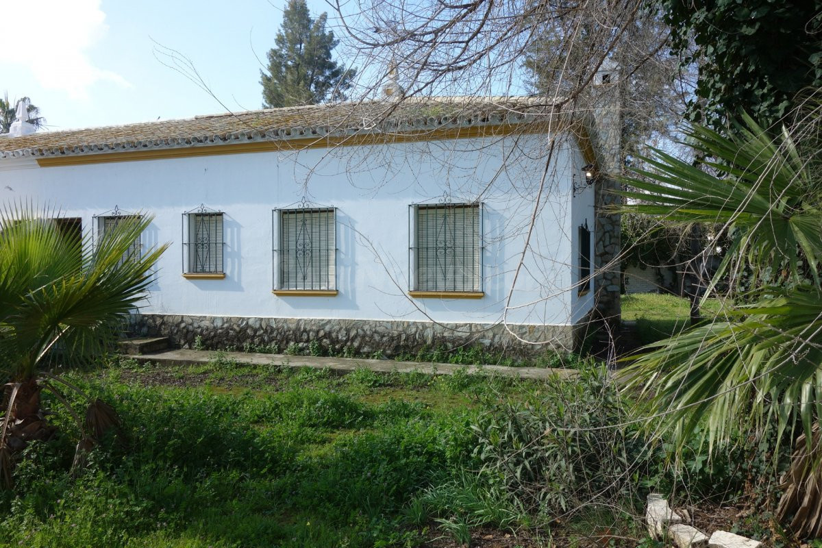 CHALET "CTRA. LA PUEBLA", 1.918 M2. PARCELA, VIVIENDA DE 91  - foto 3