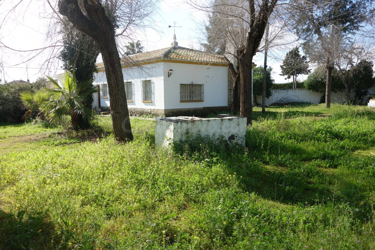 CHALET "CTRA. LA PUEBLA", 1.918 M2. PARCELA, VIVIENDA DE 91  - foto 4