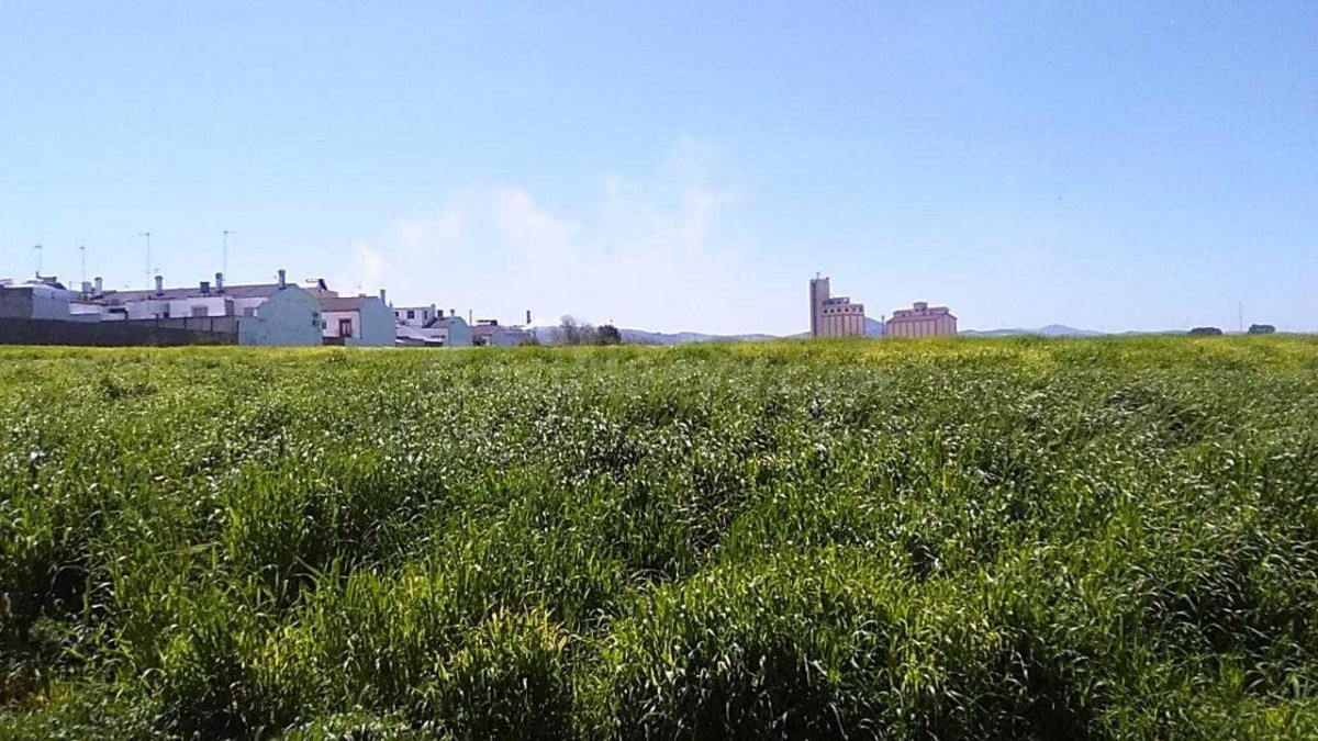 TERRENO EN OSUNA EN POLIGONO GRANADILLO