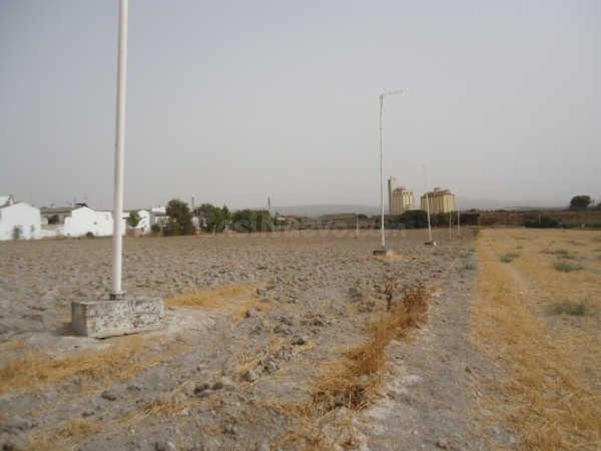 TERRENO EN OSUNA EN POLIGONO GRANADILLO - foto 2