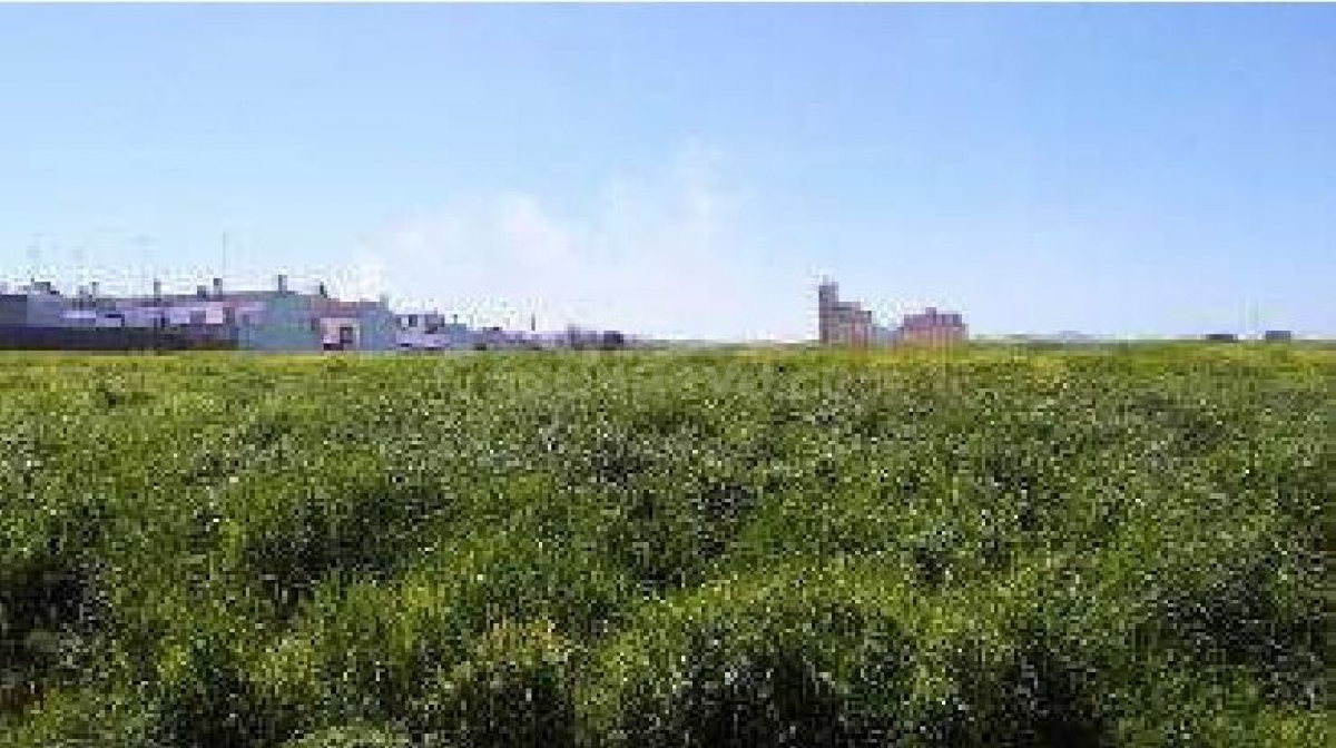 TERRENO EN OSUNA EN POLIGONO GRANADILLO - foto 3