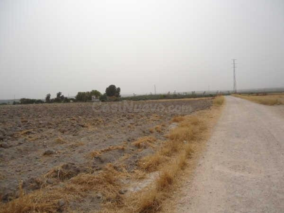 TERRENO EN OSUNA EN POLIGONO GRANADILLO - foto 4