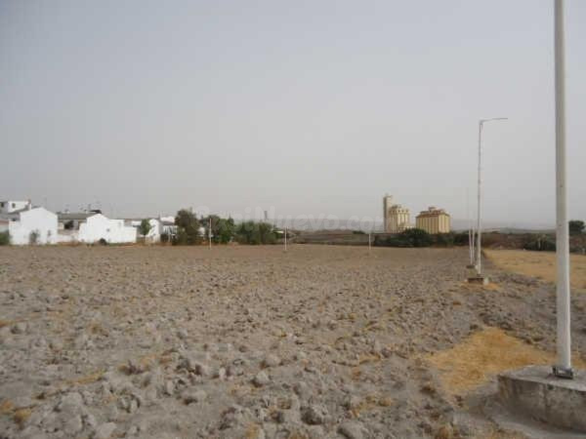 TERRENO EN OSUNA EN POLIGONO GRANADILLO - foto 5