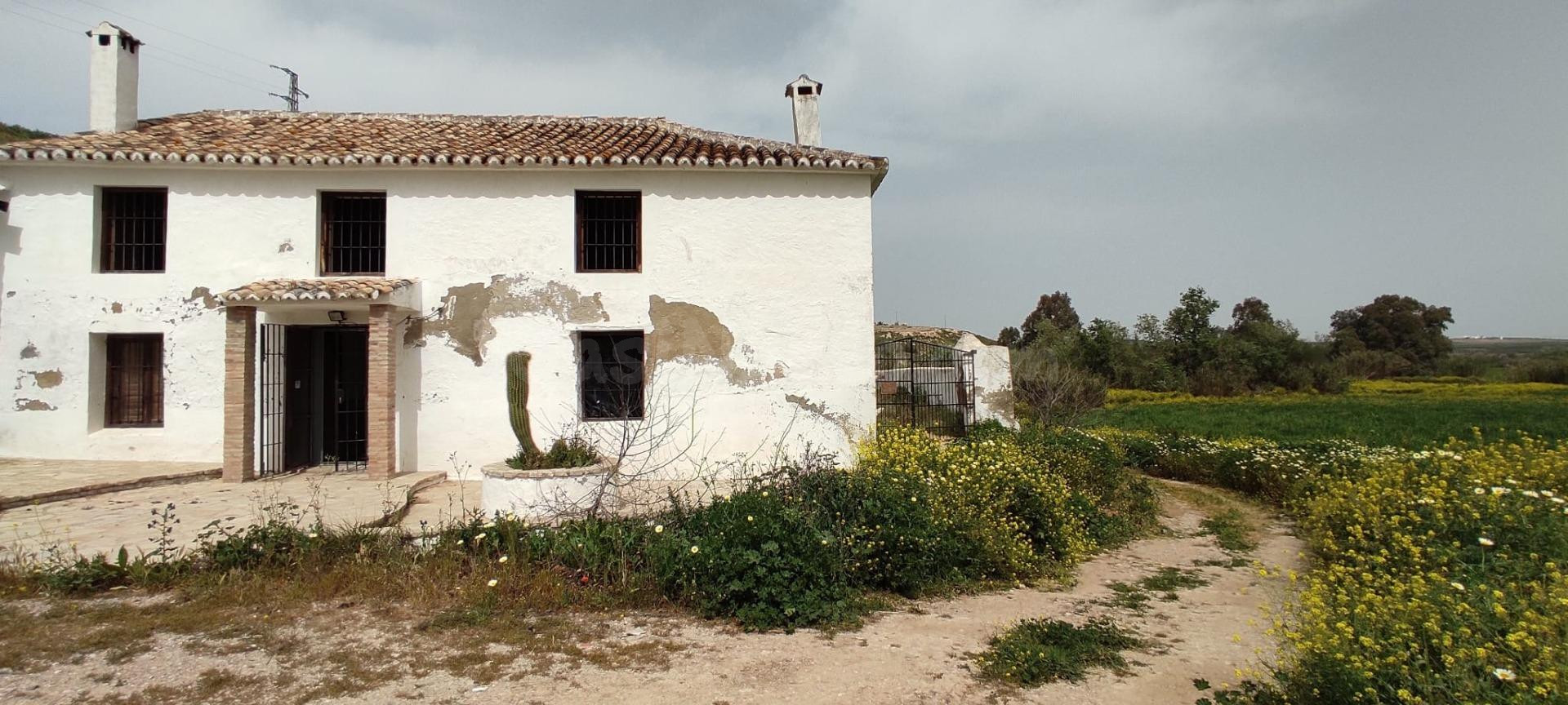 FINCA RÚSTICA EN HERRERA