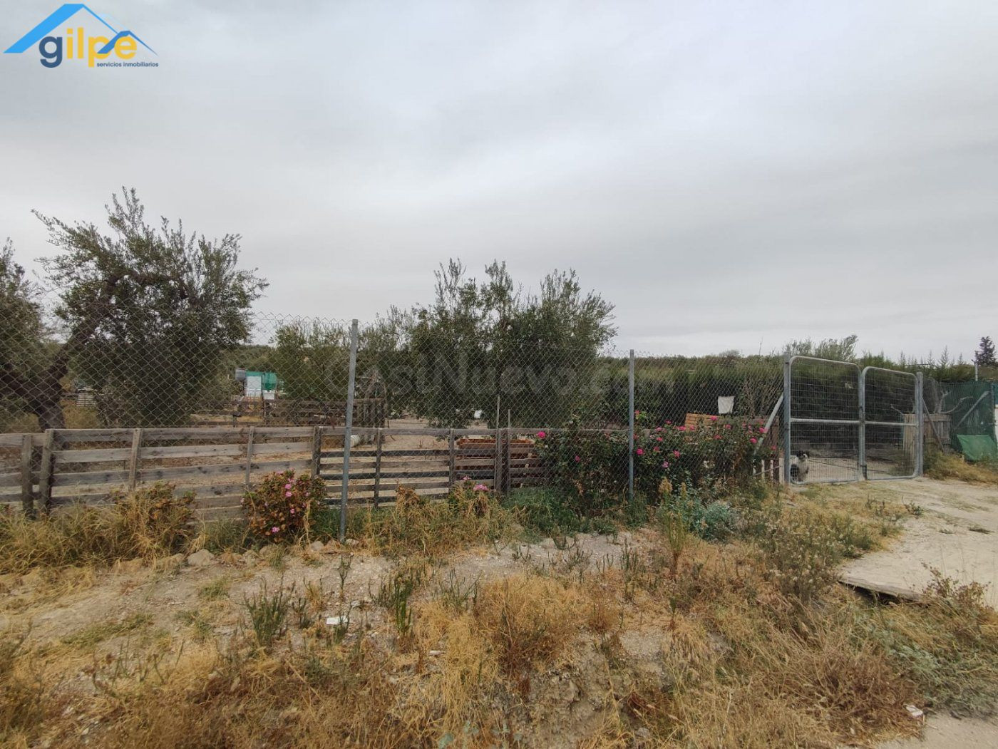 PARCELA RUSTICA CERCA DE PARADAS Y MUY CERCA DE LA AUTOVÍA A - foto 2