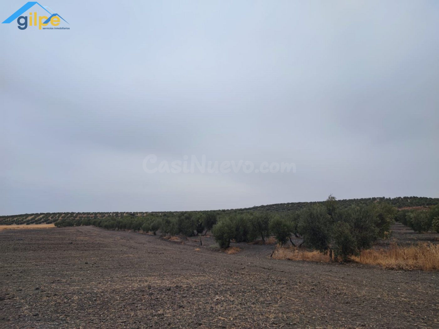 GRAN PARCELA RUSTICA CERCA DE PARADAS Y CERCA DE LA AUTOVIA  - foto 5