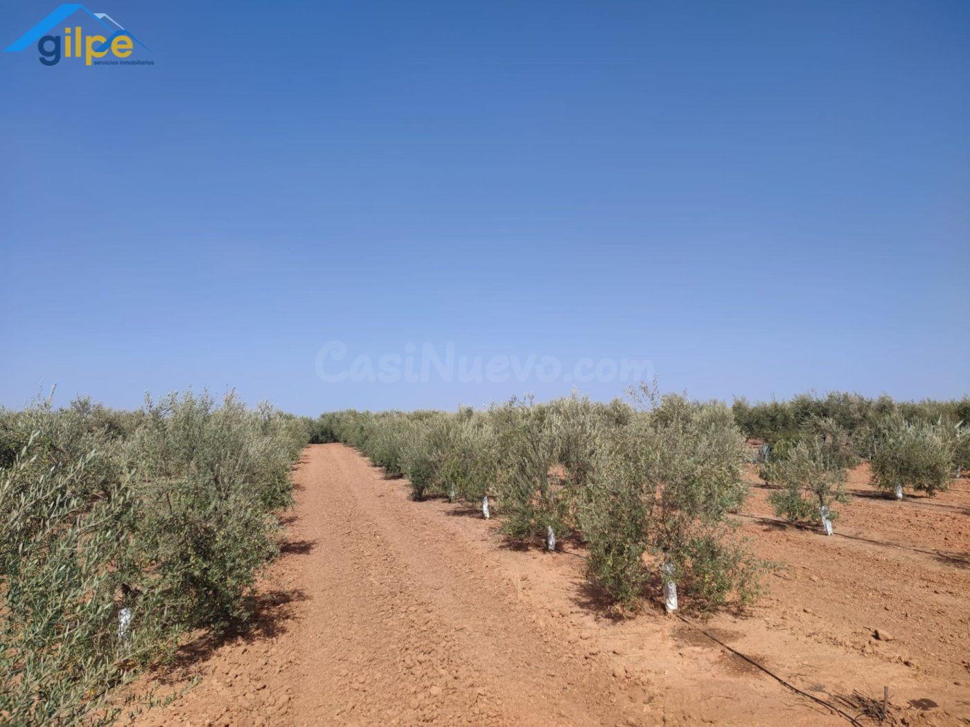 ESTUPENDA PARCELA EN LA SALIDA DE LA VENTA EL RITMO CARRETER - foto 2