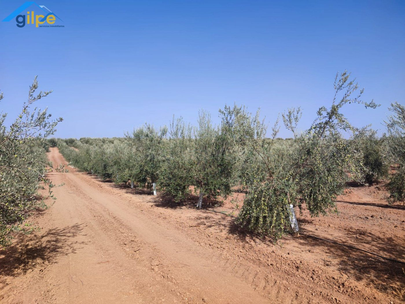 ESTUPENDA PARCELA EN LA SALIDA DE LA VENTA EL RITMO CARRETER - foto 4