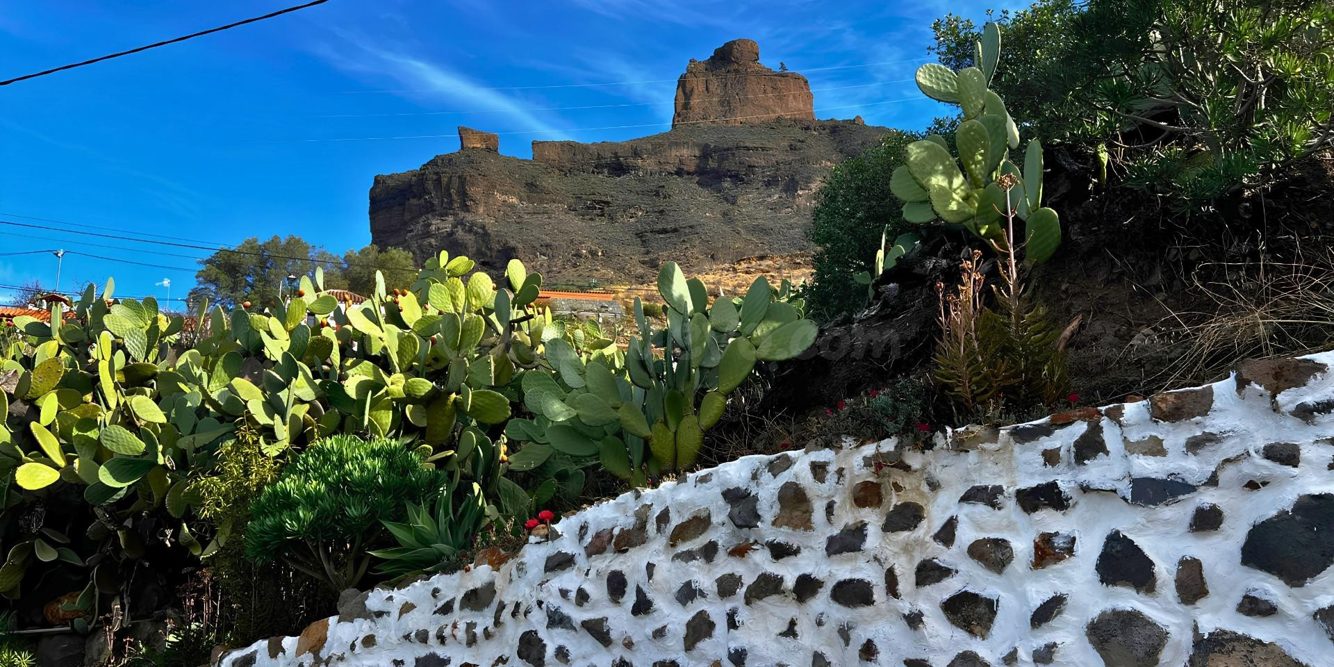 CASA DE PIEDRA EN TEJEDA - foto 3