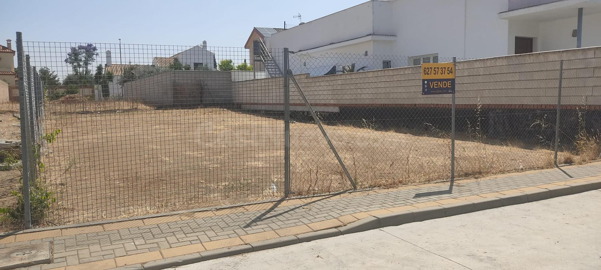 GRAN SOLAR EN MARCHENA